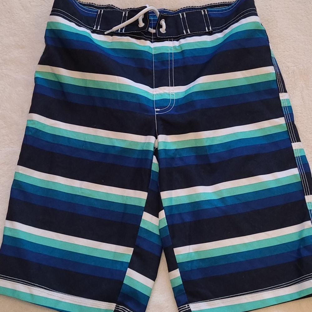 Boy's Gymboree Swimming Trunks Size Large 10-12